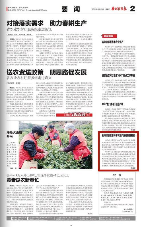 沙河村最新爆料新闻报道,揭秘村庄背后惊人真相  第1张