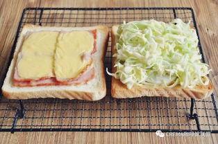 日本爆料三明治视频在线,视频爆料背后的美食传奇  第1张